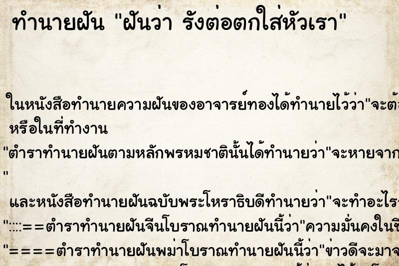 ทำนายฝันฝันว่ารังต่อตกใส่หัวเรา ทำนายฝันทำนายฝันฝันว่ารังต่อตกใส่หัวเรา